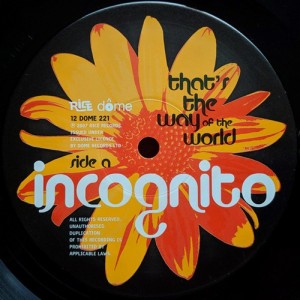That's The Way Of The World (Short Version)