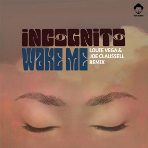 Wake Me (Louie Vega and Joe Claussell Remix Instrumental)
