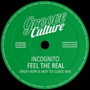 Feel The Real (Micky More and Andy Tee Classic Mix)