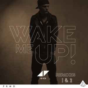 Wake Me Up (Reggae Mix)